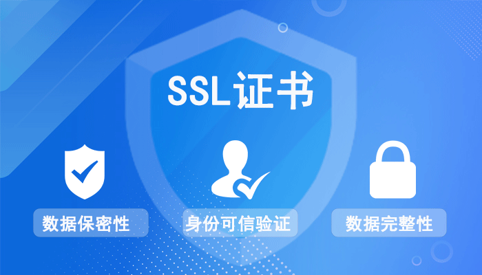 时代互联SSL证书年度费用解析：安全投资指南插图