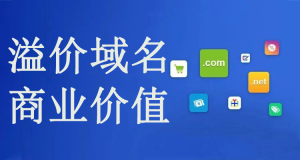 溢价域名的商业价值与实战策略插图